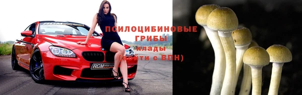 МДПВ Алексеевка
