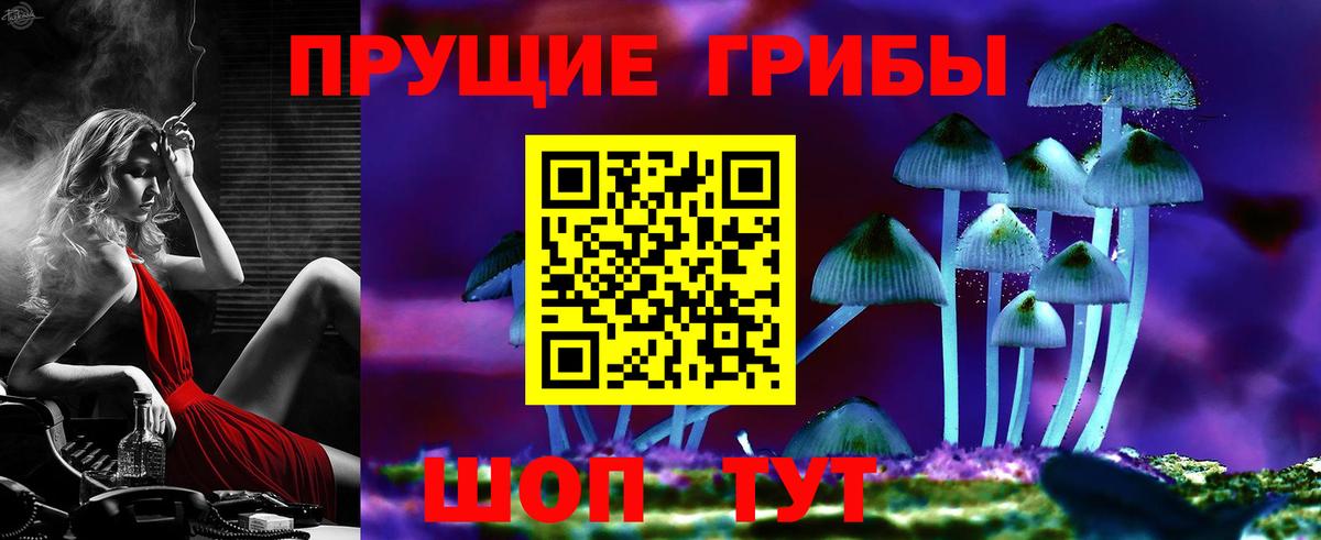 Псилоцибиновые грибы прущие грибы  Вход с VPN  Галлюциногенные грибы GOLDEN TEACHER  Абакан 