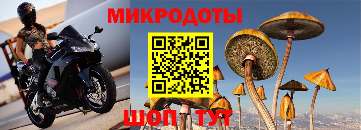 Галлюциногенные грибы прущие грибы Абакан